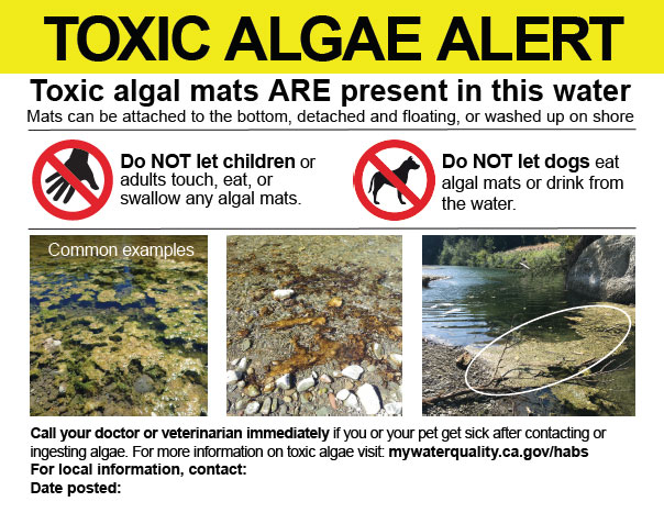 Toxic Algae Alert Sign