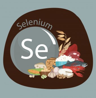 Selenium represented as Se next to food items such as fish, lobster, garlic, nuts, cheese, corn, bread, and wheat.